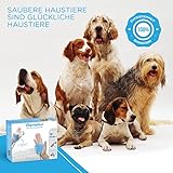 Aquapaw Hundewasch- und Duschaufsatz | Schnelles und einfaches Baden, Massieren und Pflegen von Haustieren im Innen- und Außenbereich | Inklusive 8-Fuß-Hundeduschschlauch Sprayer und Schrubber – Blau - 9