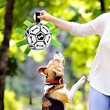 Dog Soccer Ball,Hundefußball mit Riemen - Schäferhundball mit Nylonriemen,Pet Yard Games,Outdoor Numodom Buster,Unzerstörbares Welpen-Spielzeug,Zubehör p - 3